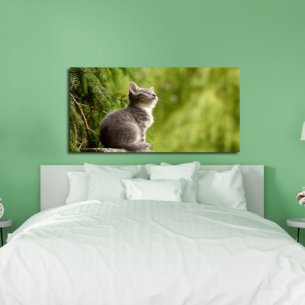 Cat Animal Canvas Wall Painting