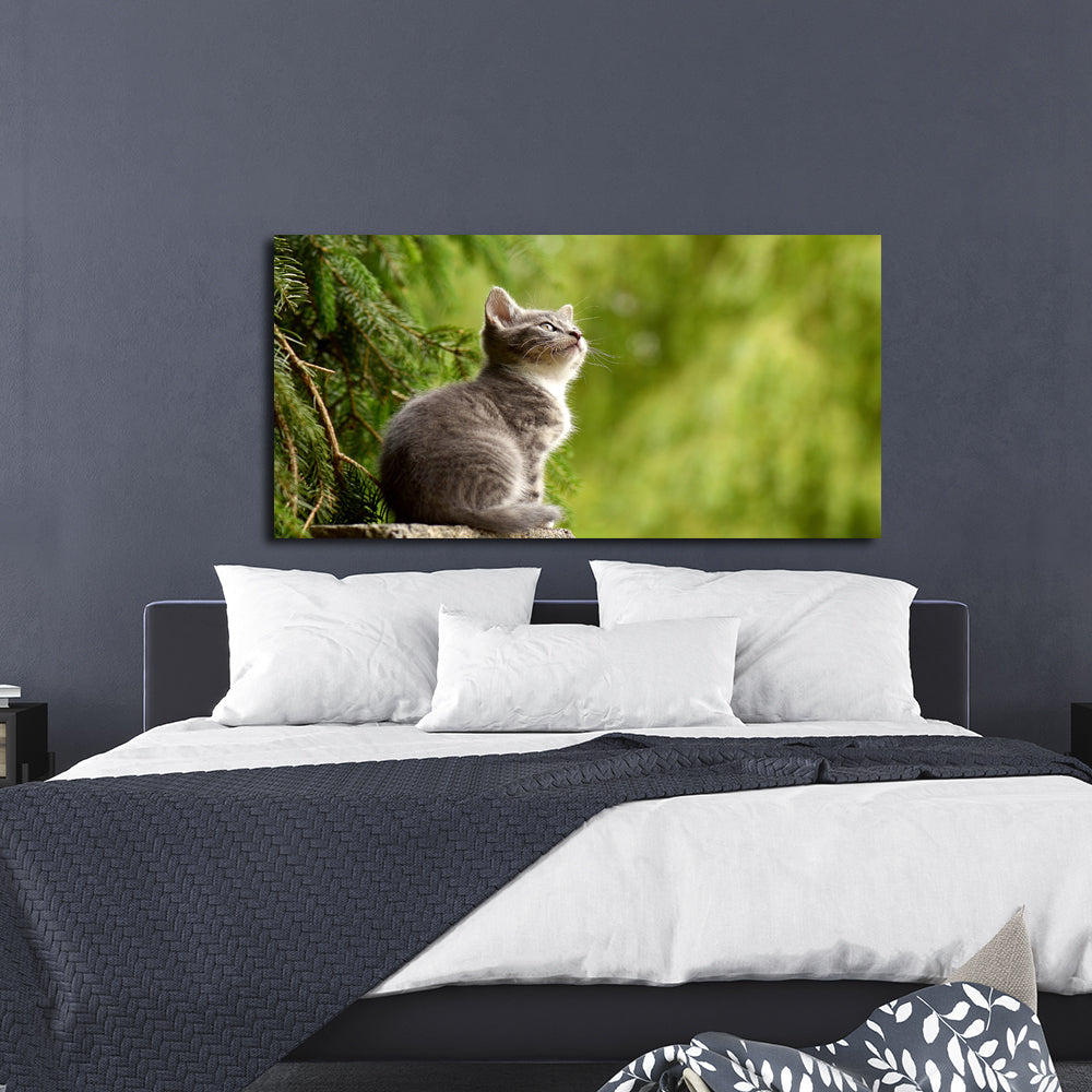 Cat Animal Canvas Wall Painting