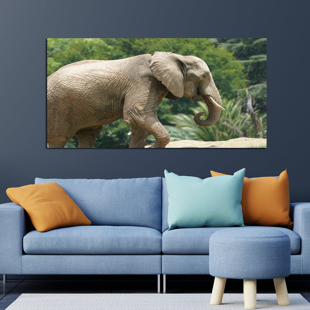 Elephant Canvas Print Modern Wall Painting