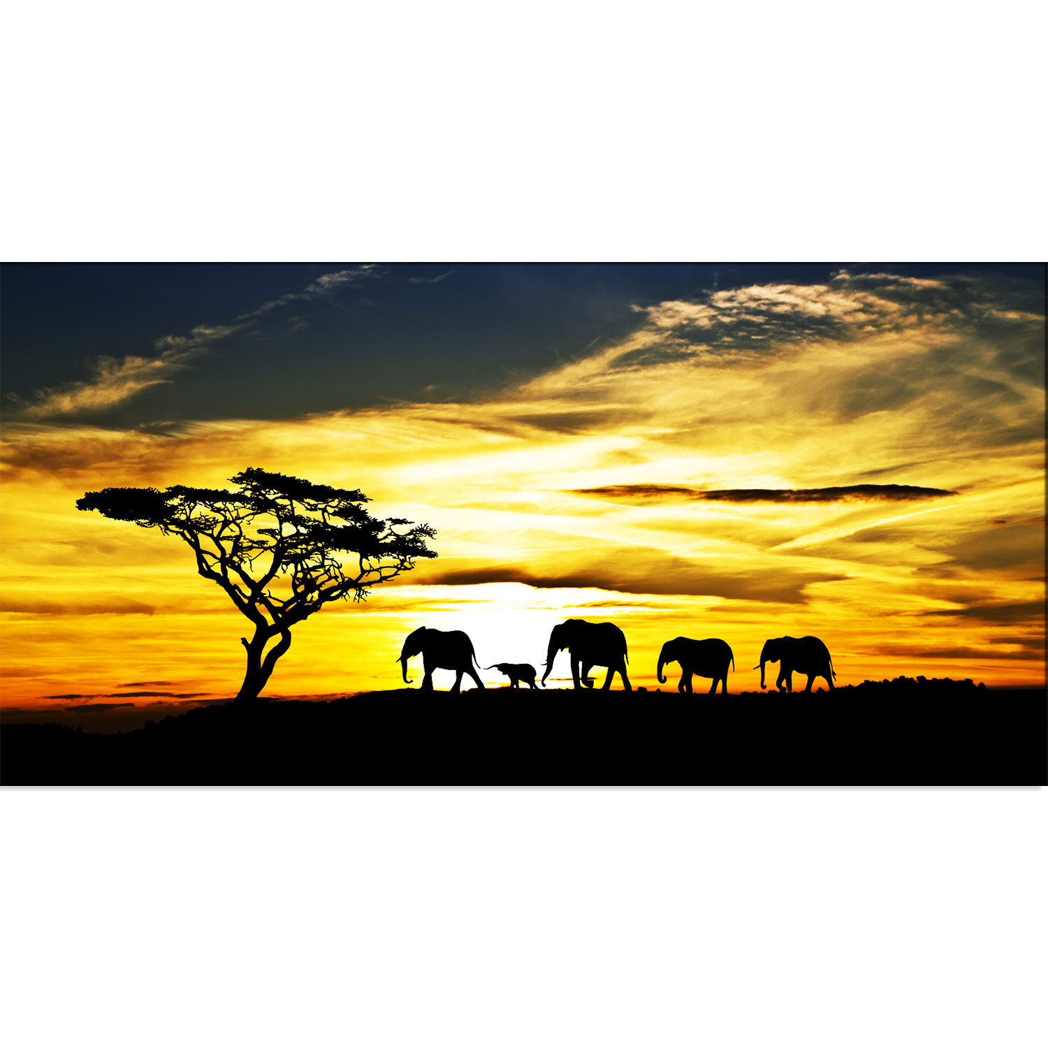 Elephant Family With Sunset Canvas Print Wall Painting
