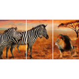 Zebra And Lion Animal Canvas Wall Painting