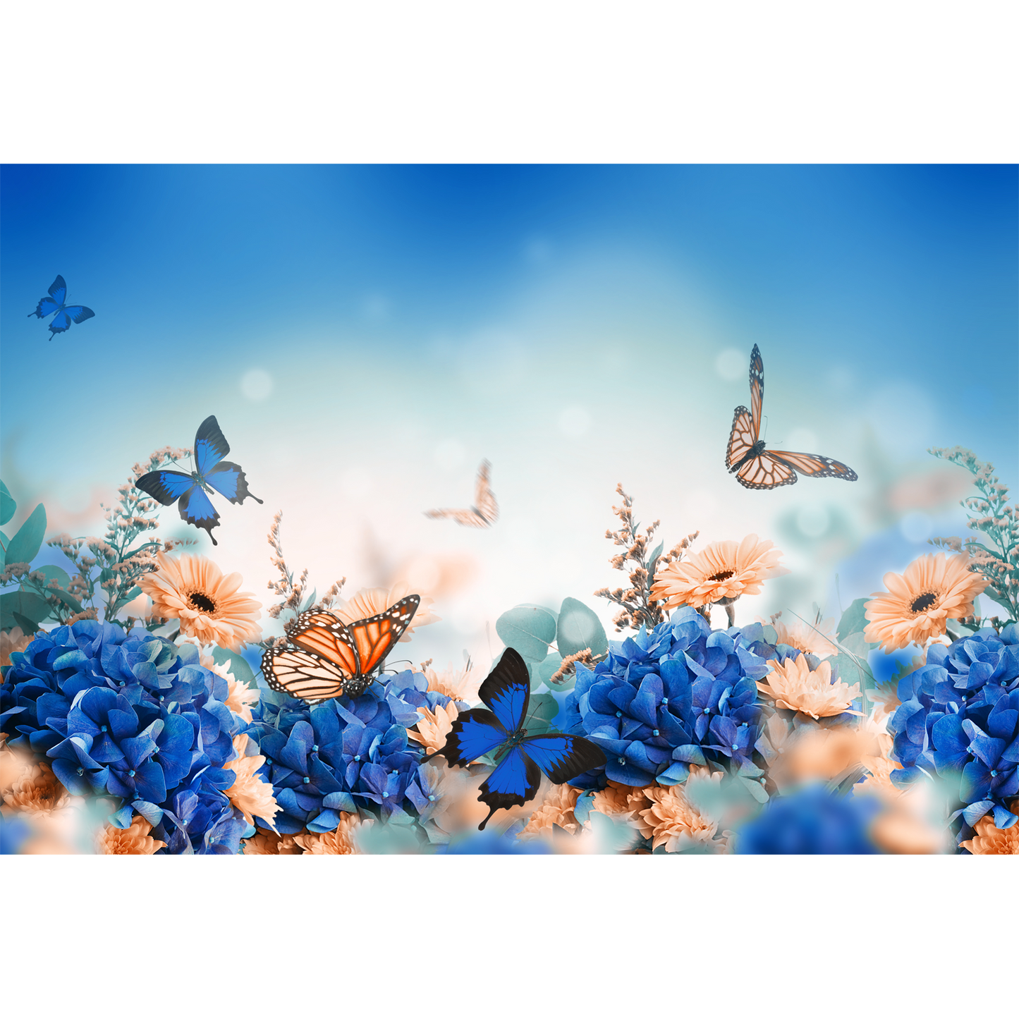Butterfly With Flower Premium Quality Wallpaper