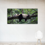 Panda Animal Canvas Wall Painting