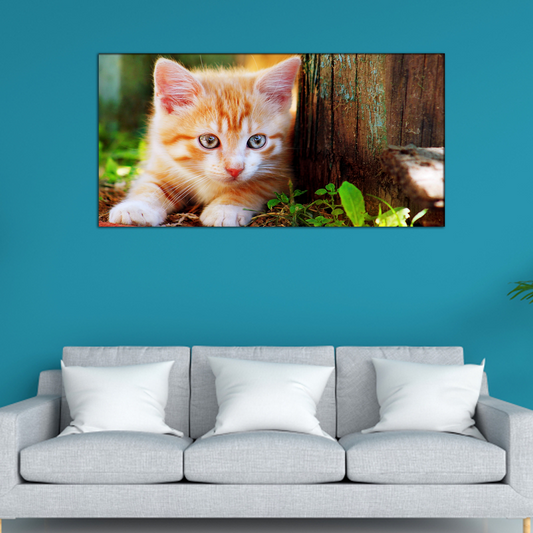 Cat Animal Canvas Print Wall Painting