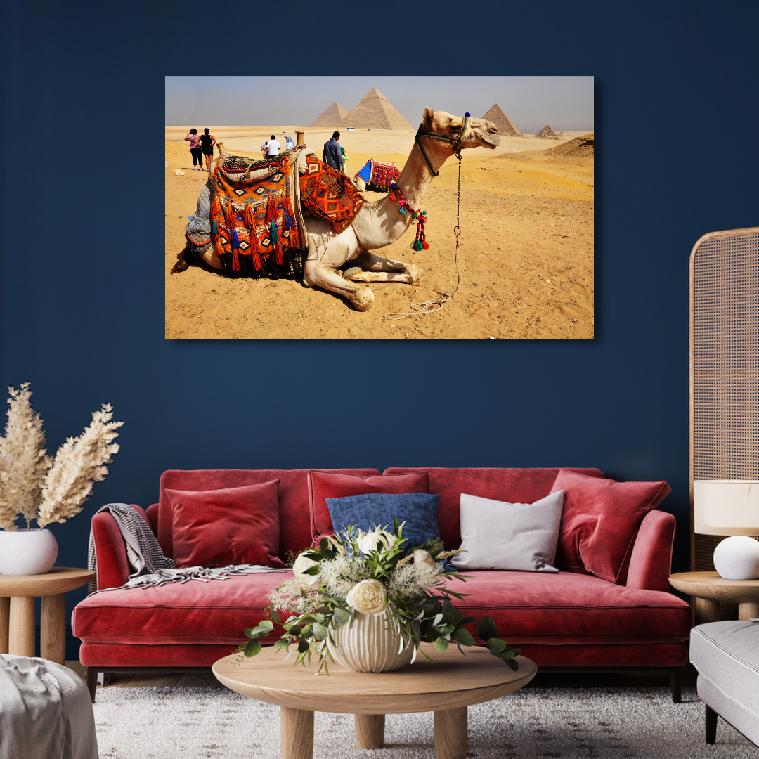 Camel With Pyramid's  Canvas Print Wall Painting