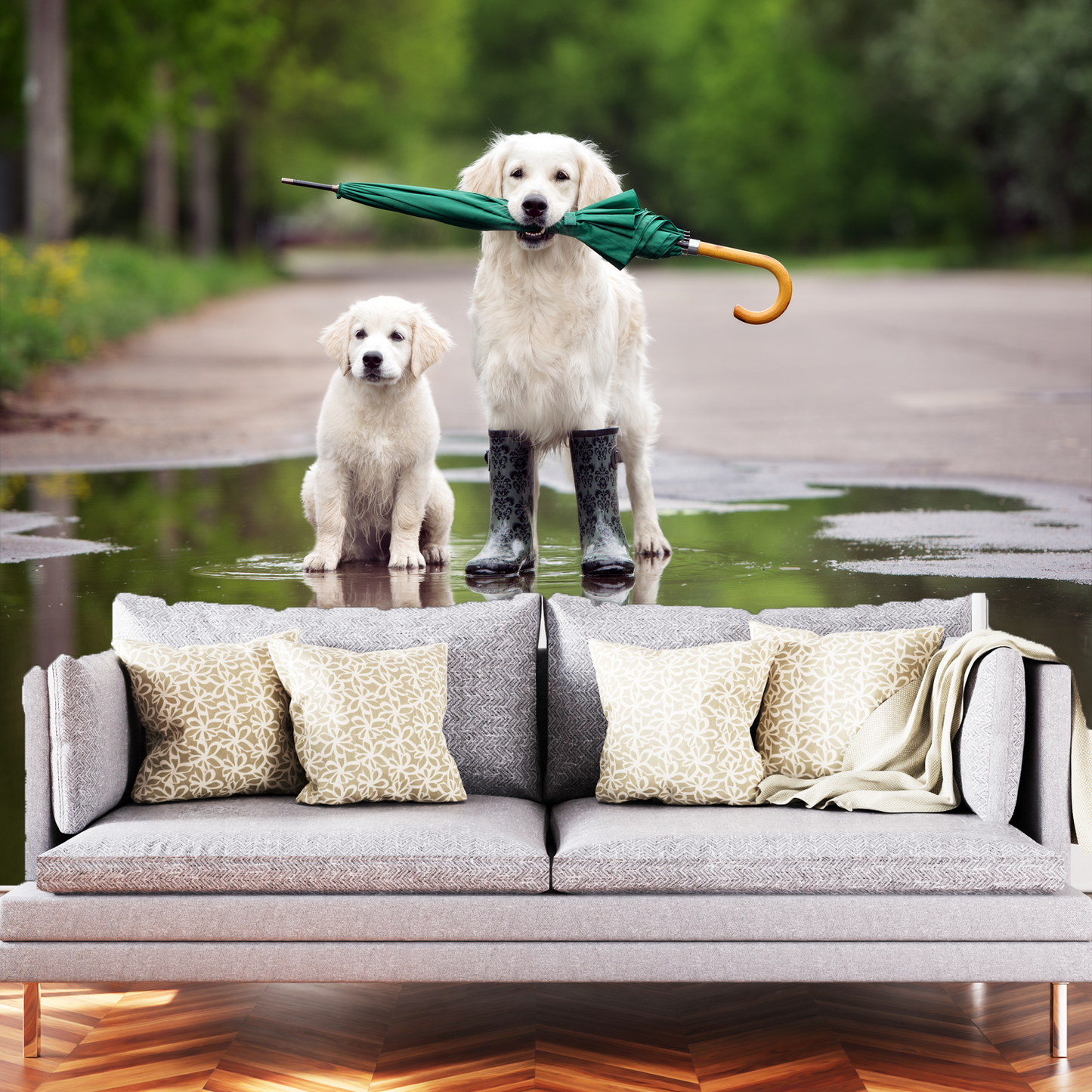Puppy Rain Boots Outlet Premium Quality Wallpaper