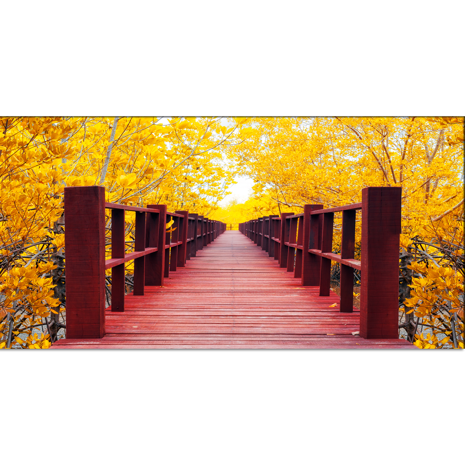 Timber Bridge Forest Canvas Print Wall Painting